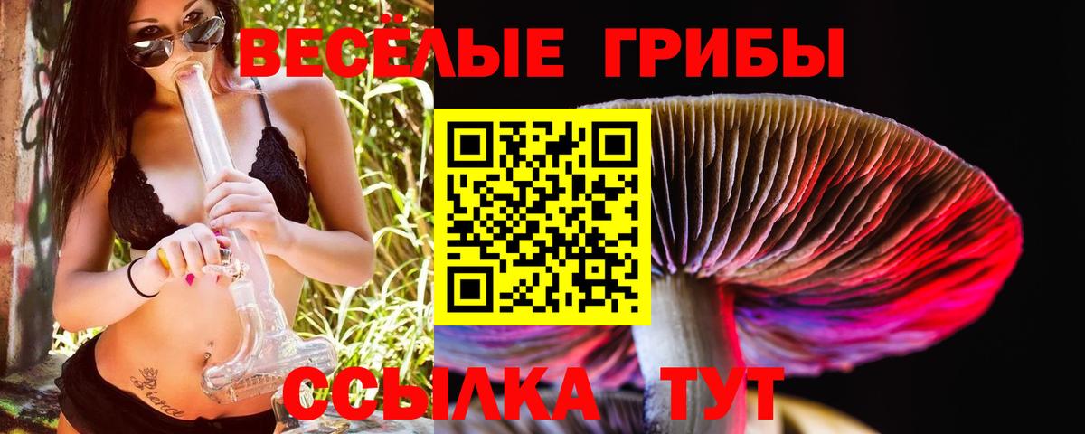 Химки  Псилоцибиновые грибы мухоморы  Вход с VPN 